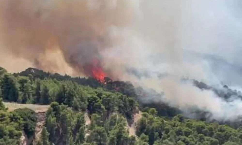 Φωτιά στην Εύβοια: Απόγνωση - Νέα λιτανεία στο Προκόπι - Προσεύχονται για βροχή